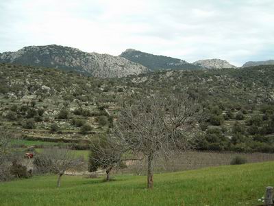 DSCF0040.JPG
